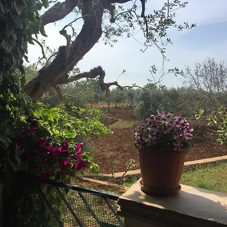 Il Trullo Di Nonno Angelo San Marco Locorotondo
