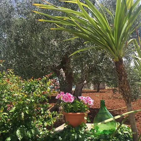 Il Trullo Di Nonno Angelo San Marco 4*